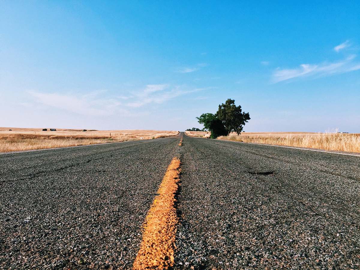 dirt road photography of road pavement with tree gravel